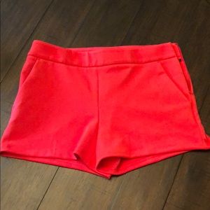 Express high waisted shorts